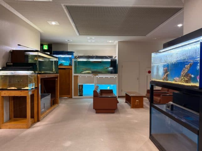 大浴場そばのロビーになぜか水槽コーナが。